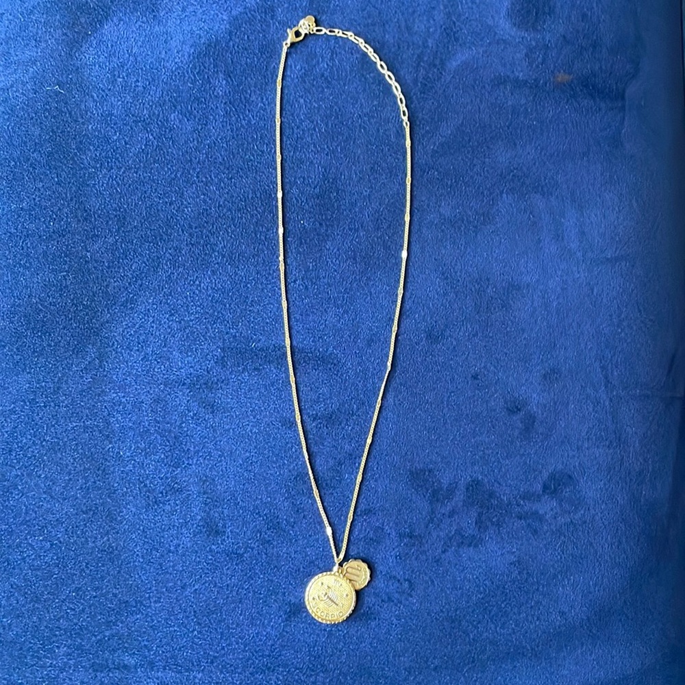 Gold Plated Scorpio Adjustable Necklace. Never Worn